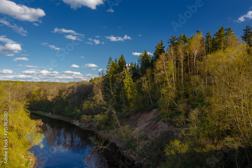 Landscape overlooking the river and the forest.
