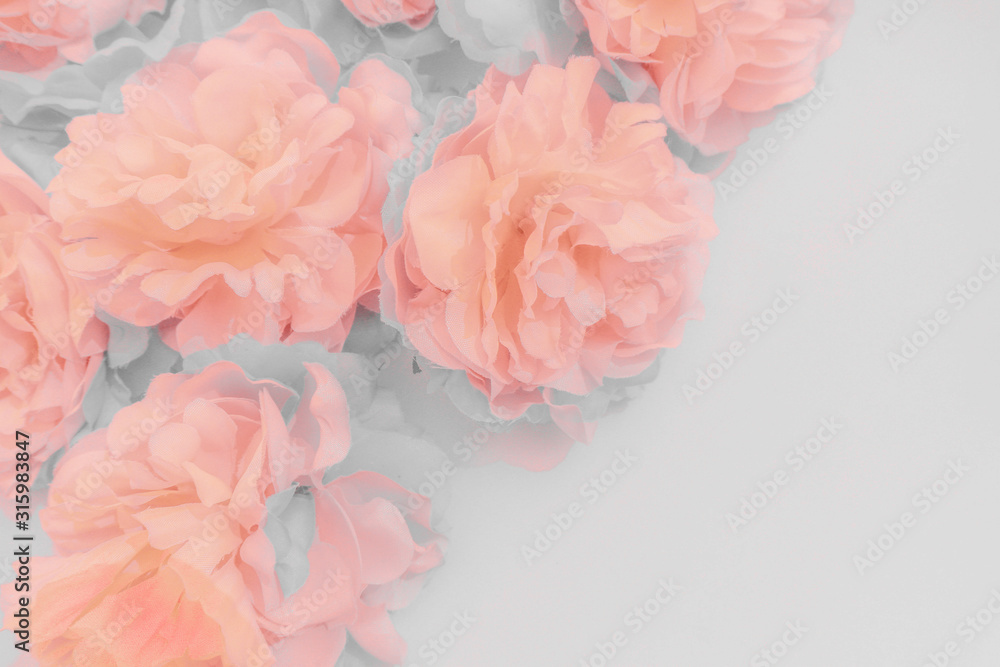 Beautiful abstract color purple and pink flowers on white background and orange flower frame and light pink leaves texture, white background, colorful banner happy valentine Beautiful abstract color purple and pink flowers on white background and orange flower frame and light pink leaves texture, white background, colorful banner happy valentine