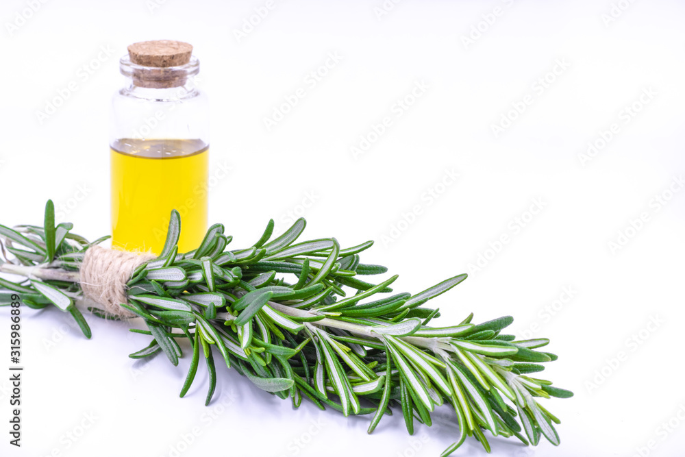 Rosemary and essential oil on a white background. Isolated. Rosemary and essential oil on a white background. Isolated.