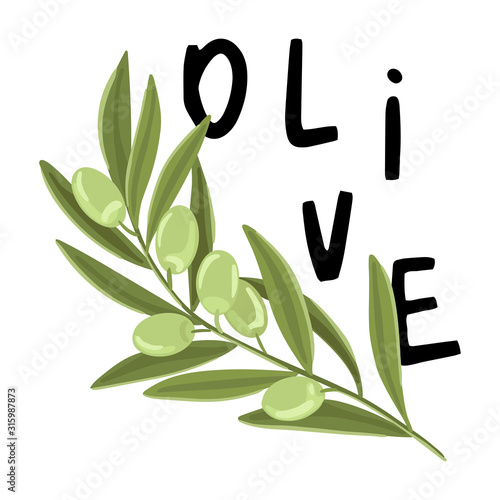Branch of olive with fruits. The inscription Oliva. Vector print design illustration.