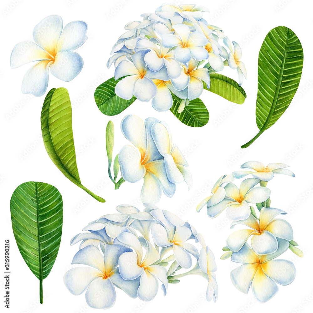 Sketch of wilted flowers - Stock Illustration [58195915] - PIXTA