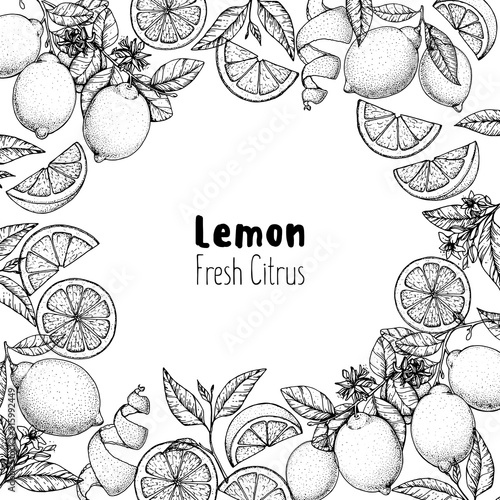 Lemon hand drawn package design. Vector illustration. Lemon sketch for menu design, brochure illustration. Black and white design. Citrus lemon pattern illustration.