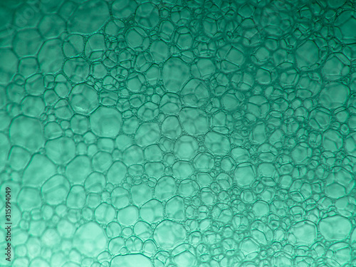 Macro close up of soap bubbles look like scienctific image of cell and cell membrane. green background