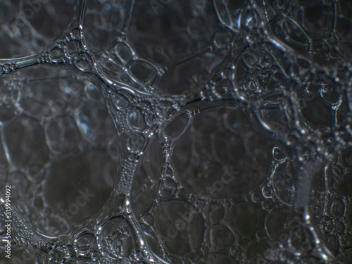 Macro close up of soap bubbles look like scienctific image of cell and cell membrane. black background photo