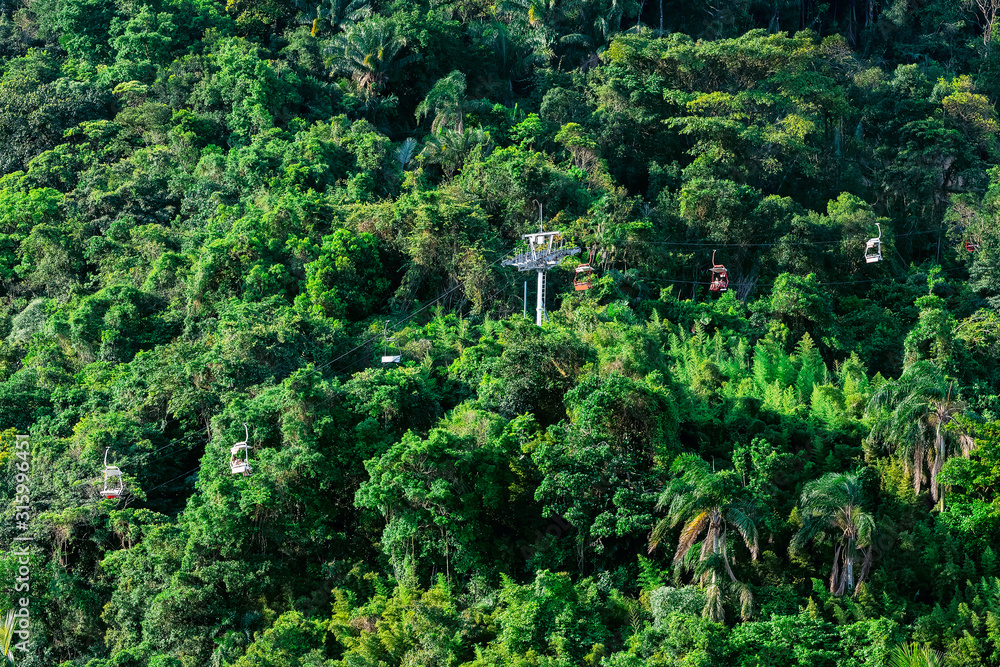 Obraz premium Chairlift ride climbing up a hill surrounded by atlantic forest with tall green trees. Photo taken at the Chairlift of Sao Vicente SP Brazil.