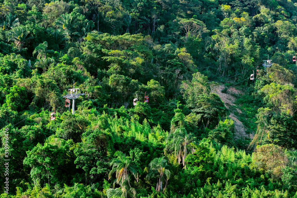 Chairlift ride climbing up a hill surrounded by atlantic forest with tall green trees. Photo taken at the Chairlift of Sao Vicente SP Brazil.