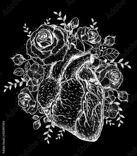 Heart and rose flower hand drawn sketch. Vintage vector illustration. Anatomical heart. Isolated black and white heart illustration. Engraved style.