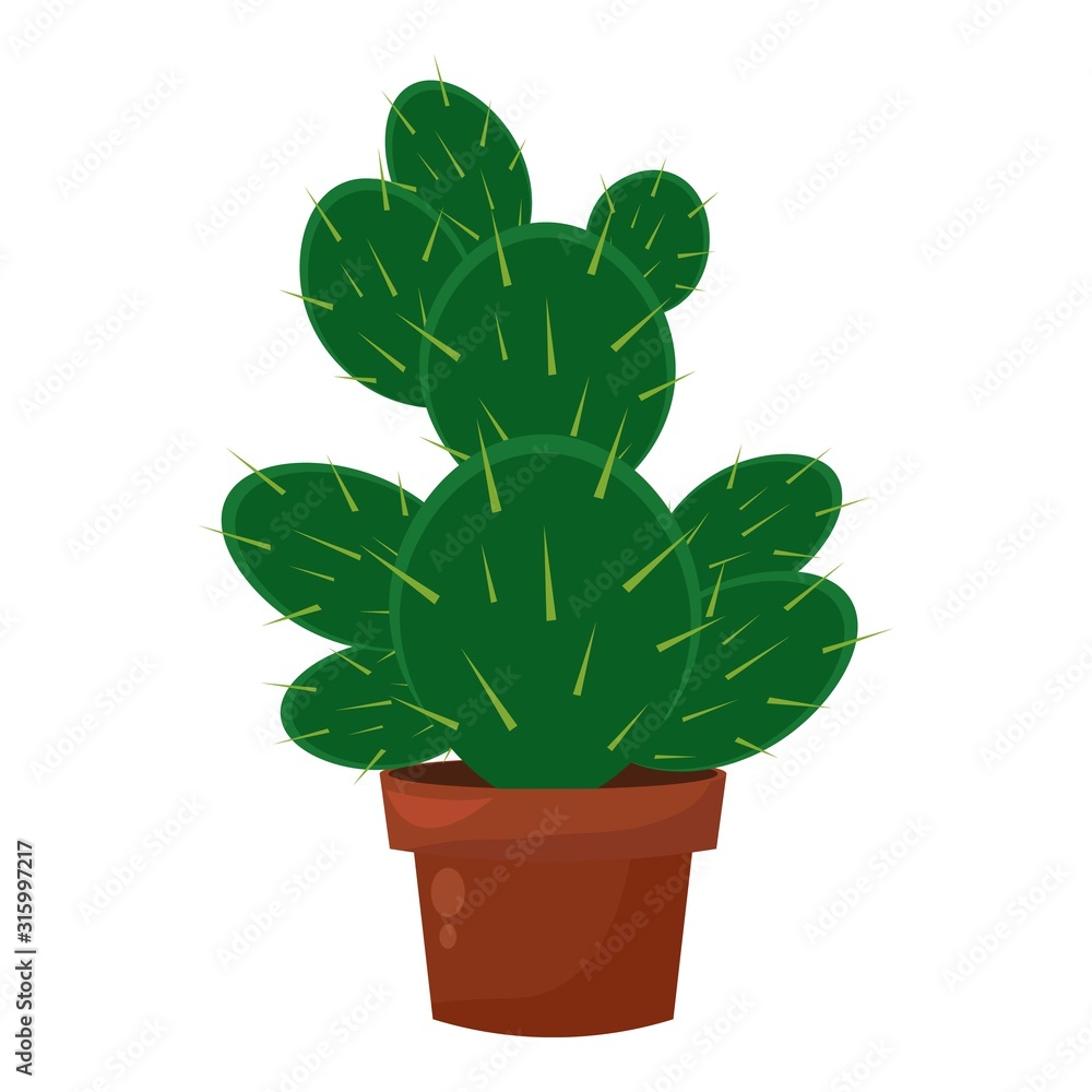 Obraz premium Green cactus pot, home garden botani houseplant, cacti decoration.