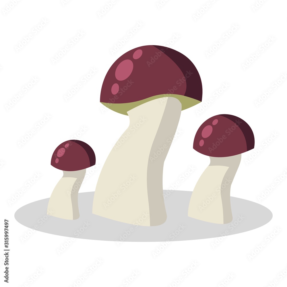 Forest mushroom, kinds of mushrooms. boletus, mushroom chanterelle, orange-cap boletus Forest mushroom, kinds of mushrooms. boletus, mushroom chanterelle, orange-cap boletus