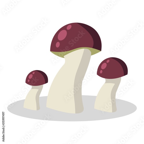 Forest mushroom, kinds of mushrooms. boletus, mushroom chanterelle, orange-cap boletus