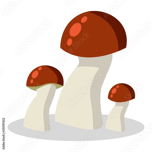 Forest mushroom, kinds of mushrooms. boletus, mushroom chanterelle, orange-cap boletus