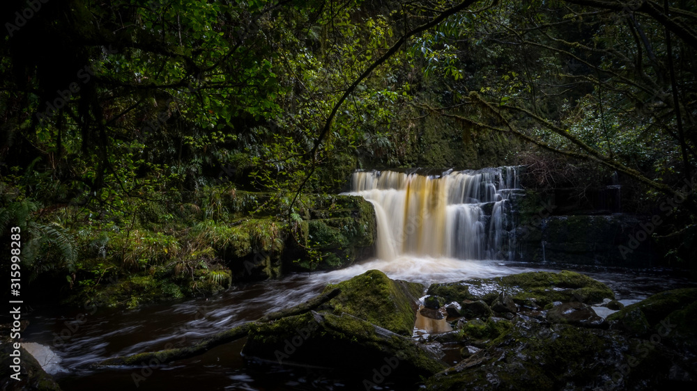 Obraz premium landscape