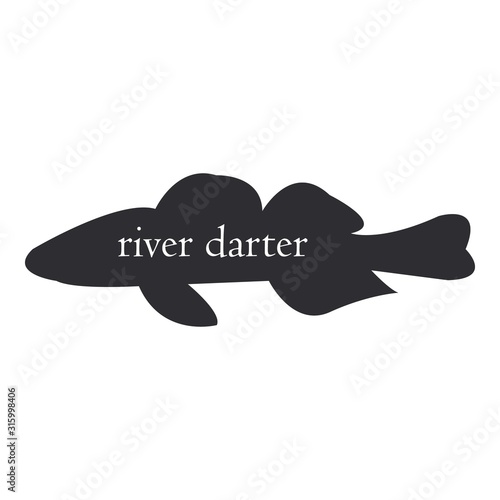 perch river fish black silhouette on white background