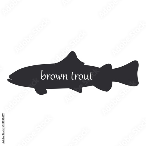 Brown Trout or Salmo trutta, fish black silhouette on white background.