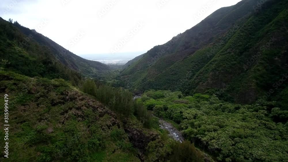 Paradise landscape of green valley with trees and plants thriving across rocky mountains of volcanic island in Hawaii Paradise landscape of green valley with trees and plants thriving across rocky mountains of volcanic island in Hawaii