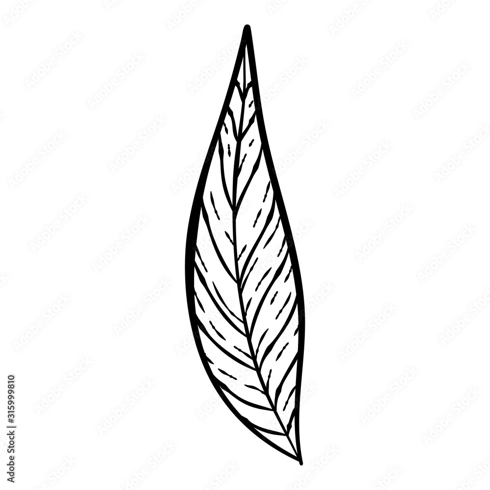 black hand drawn thin line cute doodle floral icons, leaf flowers, peony, laurel, wreath. Design element collection isolated on white. Vector illustration black hand drawn thin line cute doodle floral icons, leaf flowers, peony, laurel, wreath. Design element collection isolated on white. Vector illustration