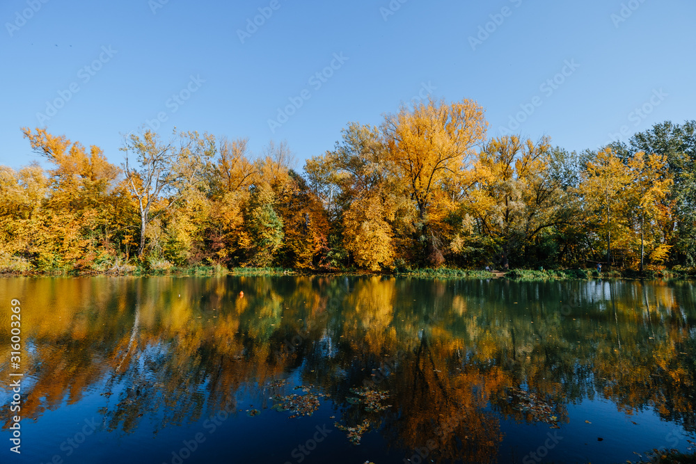Autumn river bank with orange beech leaves Autumn river bank with orange beech leaves