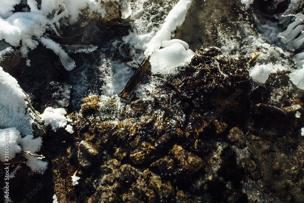 Obraz premium Frozen nature