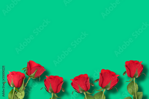 Red roses in green background