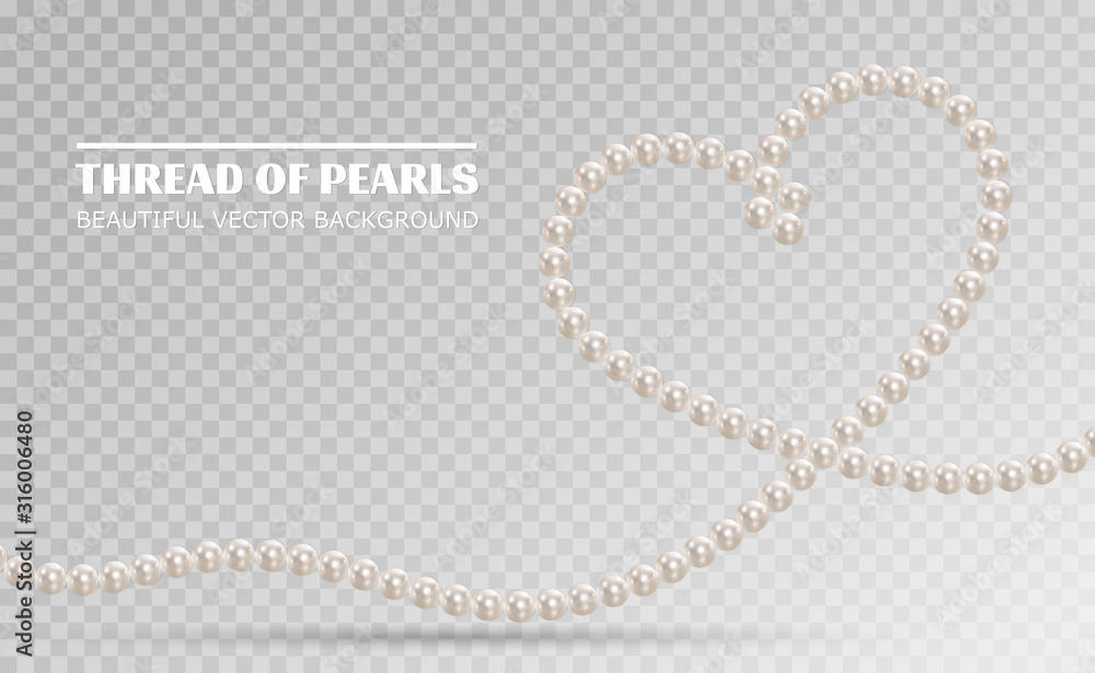 Shiny oyster pearls for luxury accessories. Pearl necklace thread of pearls. Realistic white