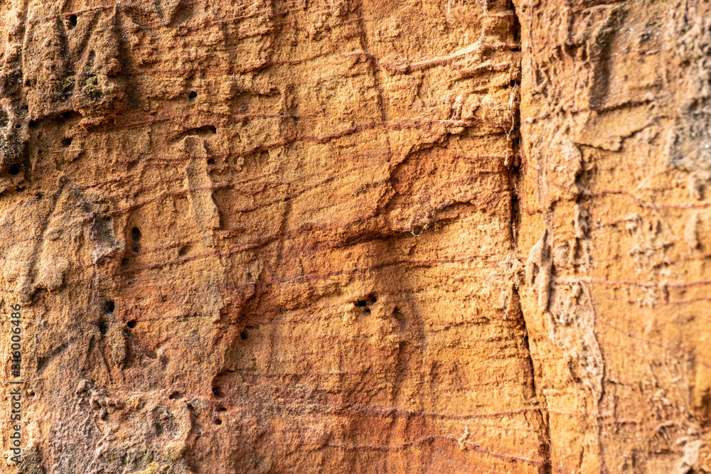 Fototapeta premium Texture of layers of brown sand cross section. Cliff on the beach