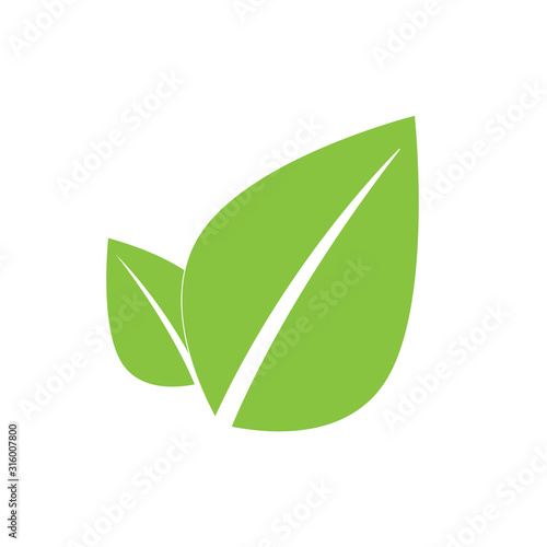 Icon for vegan food. Bio, Ecology, Organic logos and badges. Vegetarian food icon suitable for info graphics, websites and print media. Vector icon eps 10