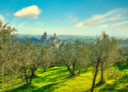 Vinci, Leonardo birthplace, village skyline and olive trees. Florence, Tuscany Italy