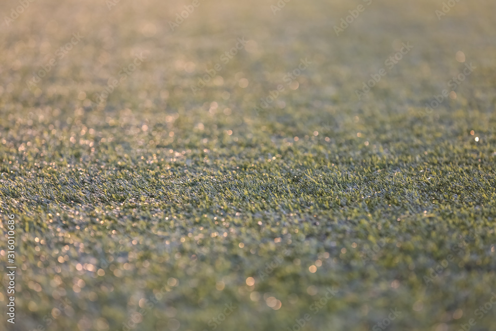 Synthetic green lawn. Evening light. Background, texture. Synthetic green lawn. Evening light. Background, texture.