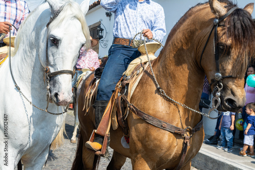 caballo