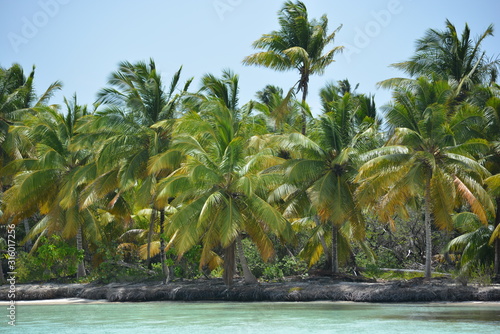 Beautiful tropical shoreline at Punta Palmillas photo
