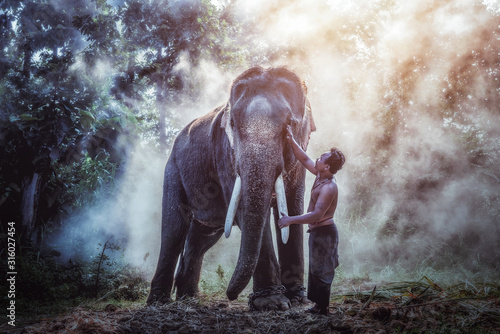 Thailand The mahout man and elephant in wild this is lifestyle of people in surin province Thailand.