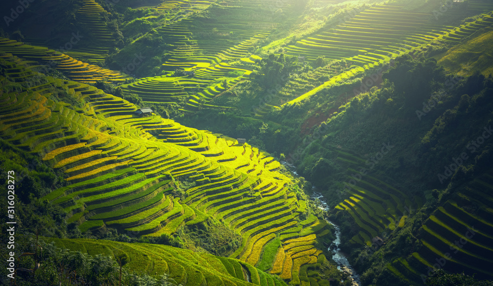 Rice fields on terraced of Mu Cang Chai, YenBai, Vietnam. Rice fields prepare the harvest at Northwest Vietnam. Vietnam landscapes.