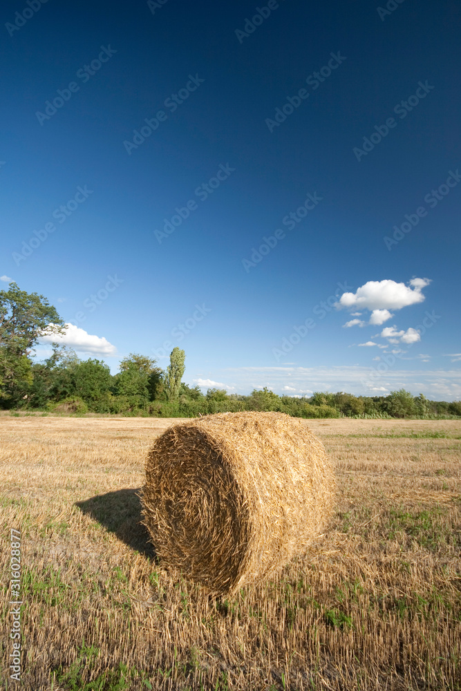 Straw bales on a harvested field in Hungary