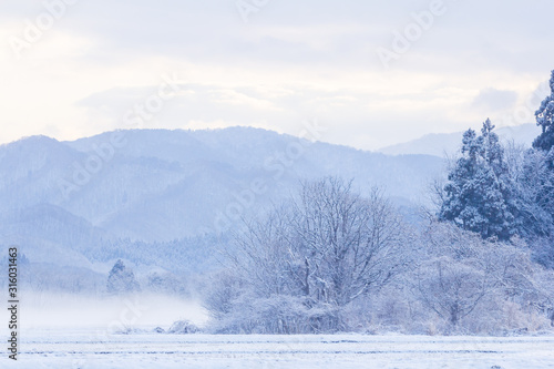 雪景色　冬の朝 © amosfal