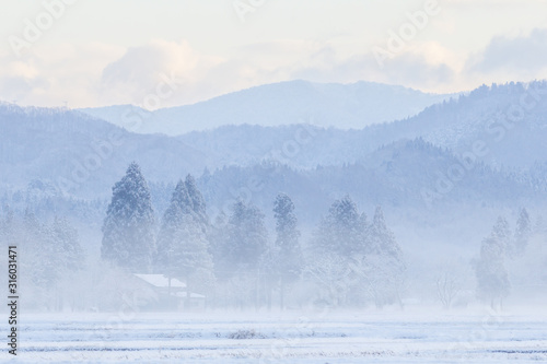 雪景色 冬の朝