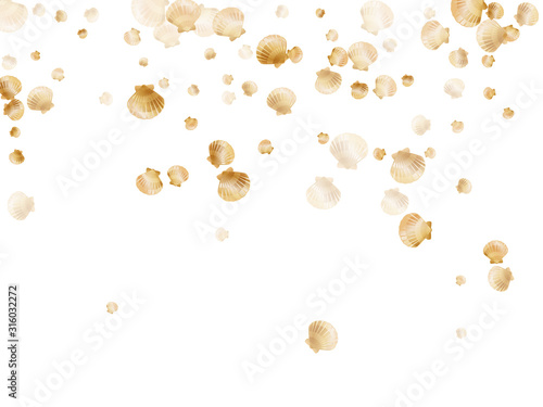 Gold seashells isolated, pearl bivalved mollusks