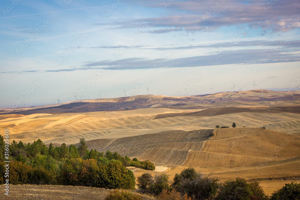 rolling hills of the palouse