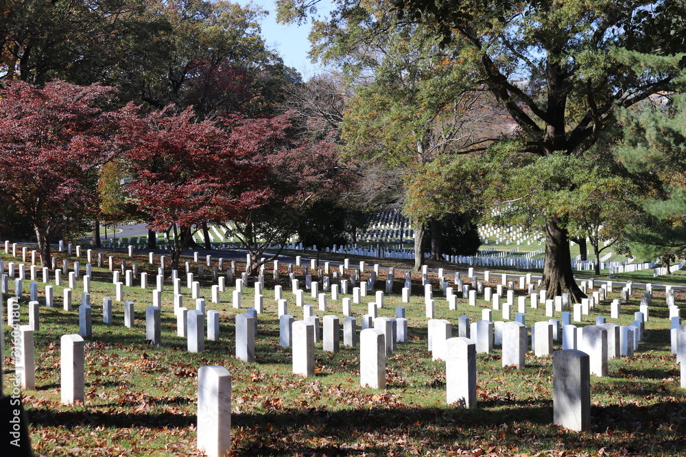 Arlington cemetery in autumn