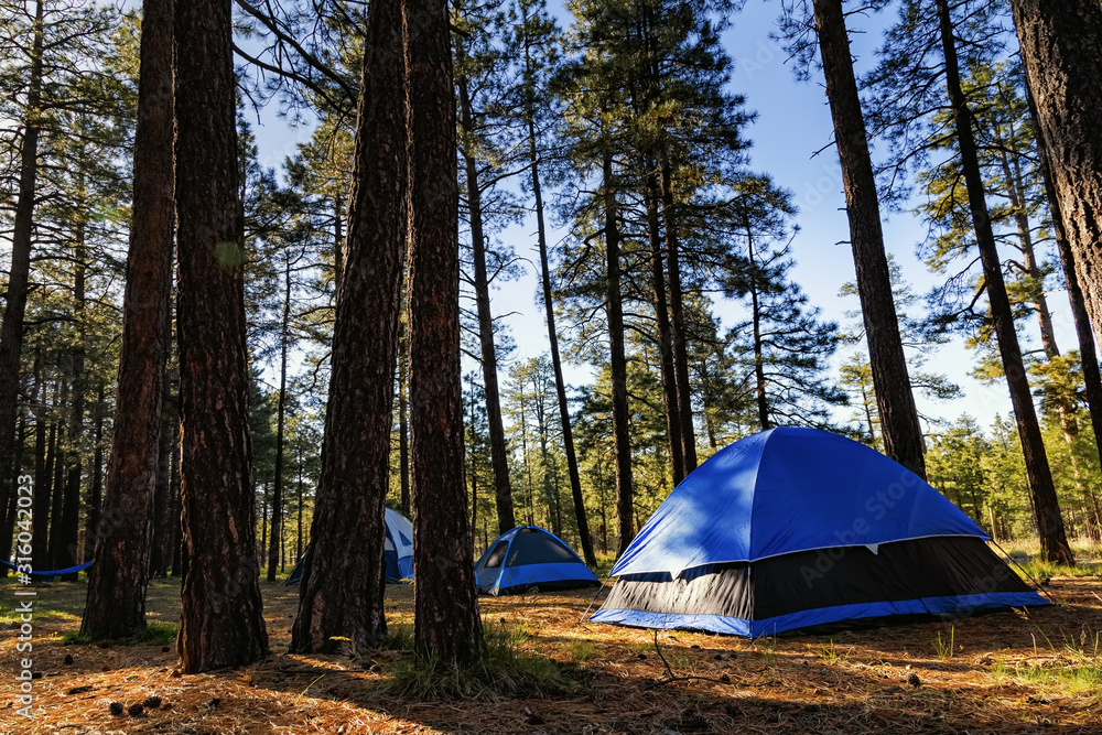 Camping tents in the forest, beautiful early morning. Camping tents in the forest, beautiful early morning.