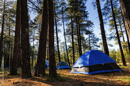 Camping tents in the forest, beautiful early morning.