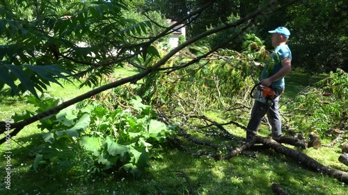 Gardener man with chainsaw cleaning garden of fallen trees. Gimbal motion