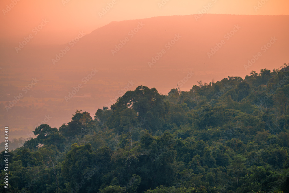 abstract background of nature,a high angle that can see the scenery around (trees,meadows,mountains, the light of the twilight in the evening) and the wind blowing through the large mountains