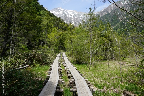 A Path through Kamikochi National Park- Kamikochi, Japan