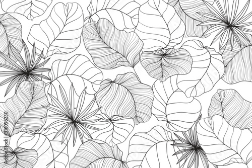 Background for social media decorate with summer leaf 