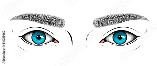 Vector black and white illustration with woman's blue eyes and hand drawn brows. Makeup Look for browbar.