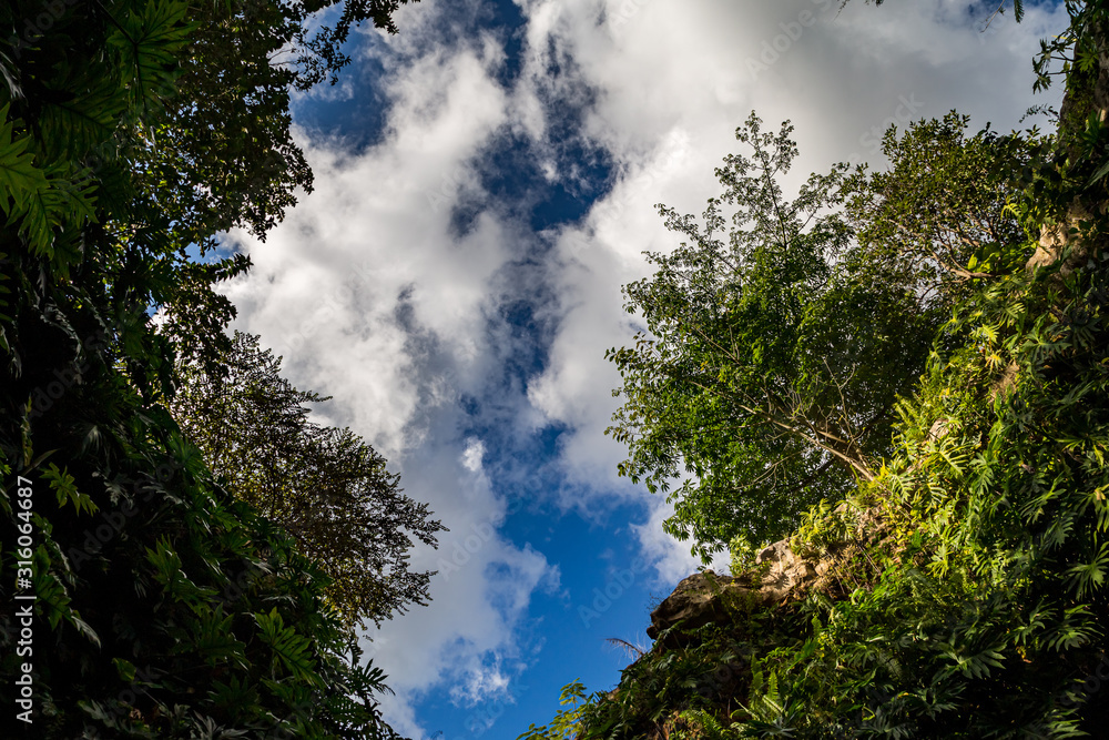 Obraz premium paisaje