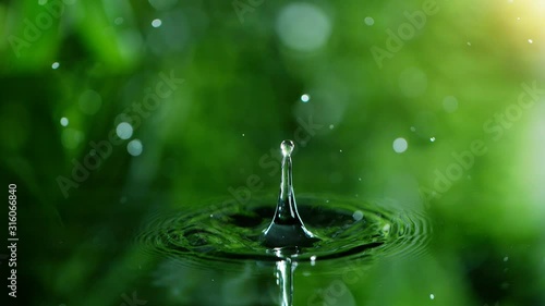 Super slow motion of falling water drop from leaf. Filmed on high speed cinema camera, 1000 fps. Super macro lens. photo