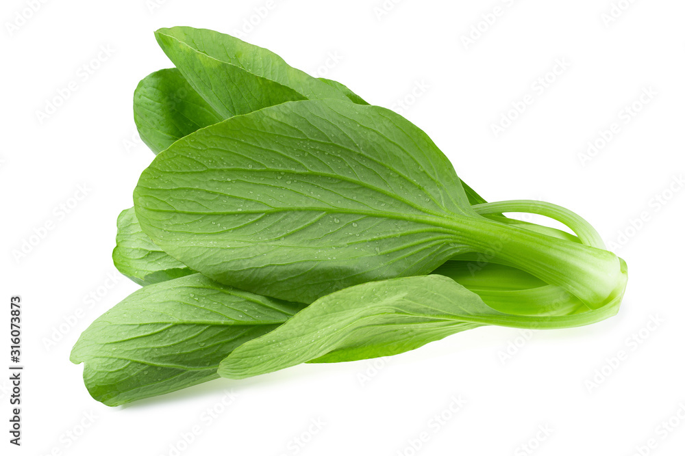 Bok choy cabbage isolated on a white background Bok choy cabbage isolated on a white background