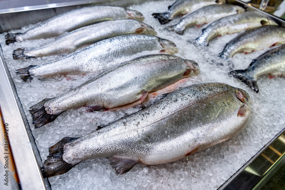 Obraz premium Fresh chilled salmon lies on ice.