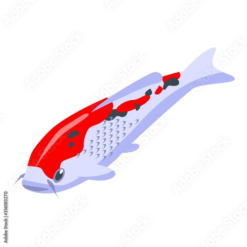 Koi carp fish icon. Isometric of koi carp fish vector icon for web design isolated on white background